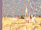 Cervia 2011-266